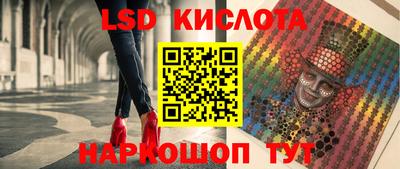 дмт Краснодар