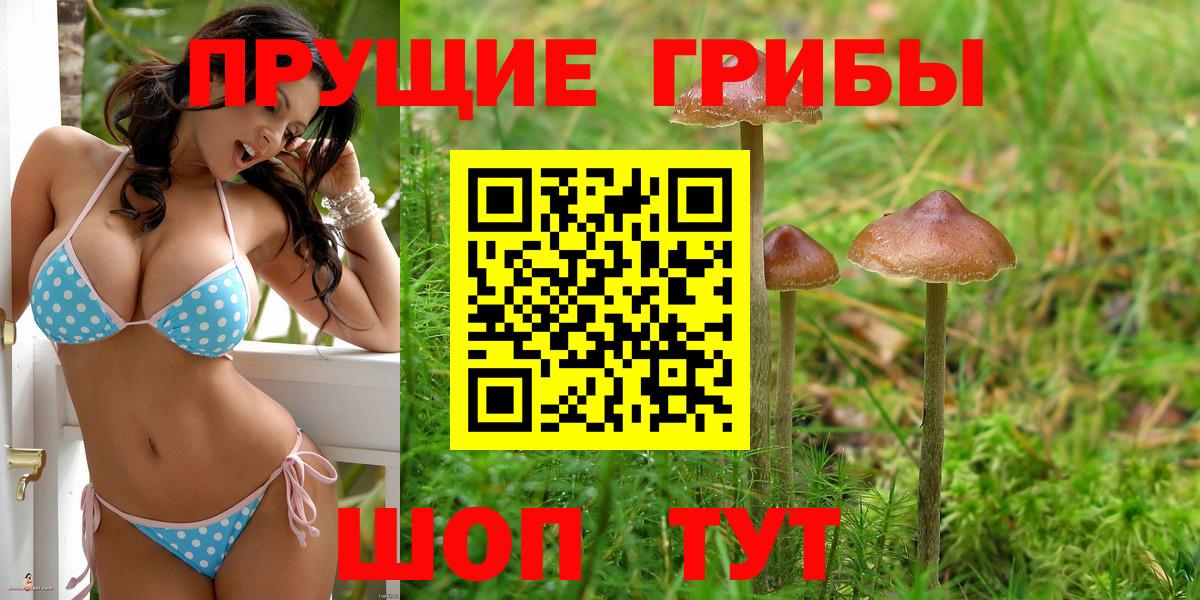 Псилоцибиновые грибы Psilocybine cubensis Изобильный